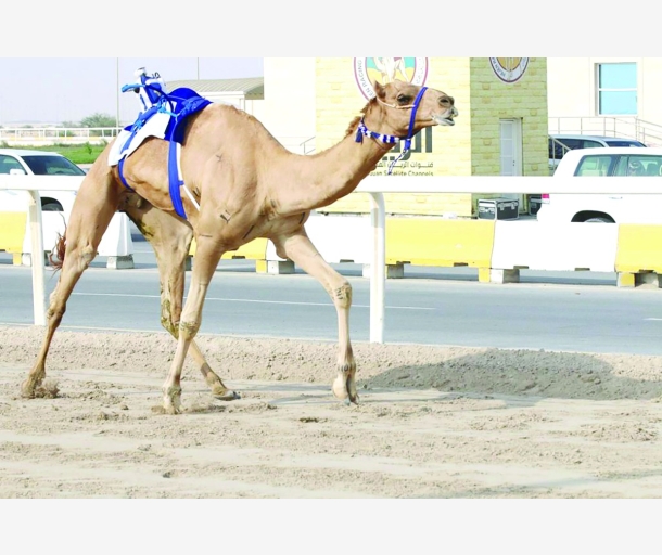 alarab