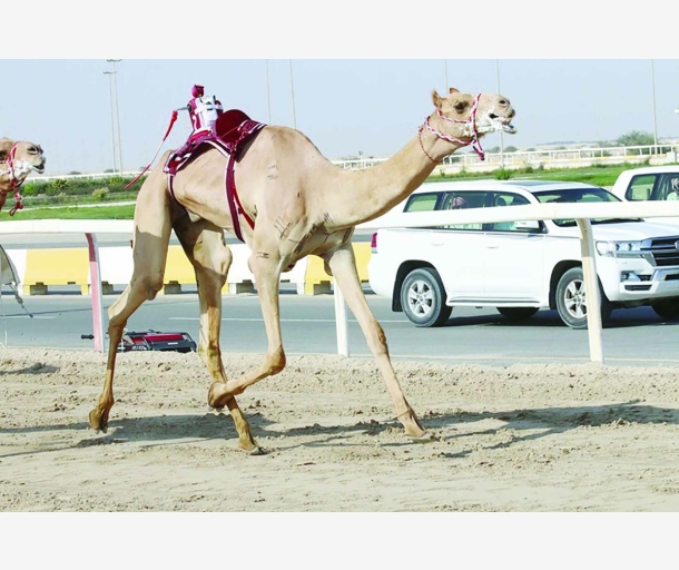 alarab