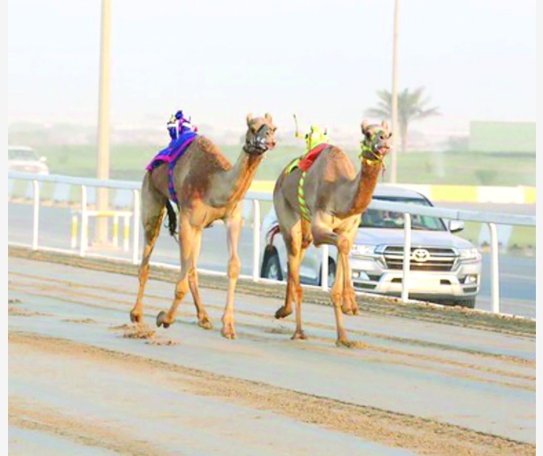alarab