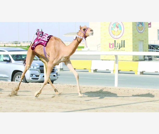 alarab