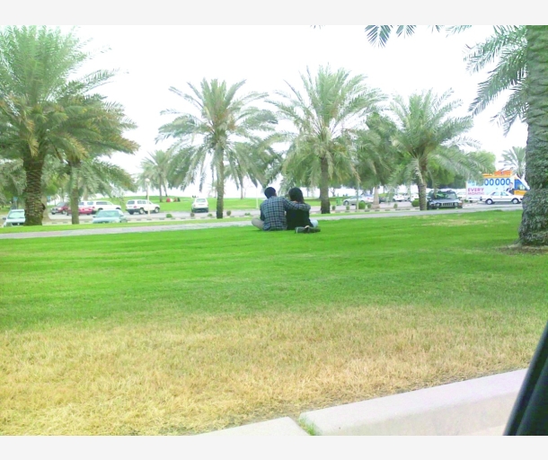 alarab