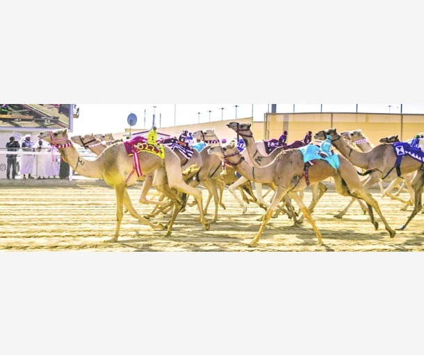 alarab