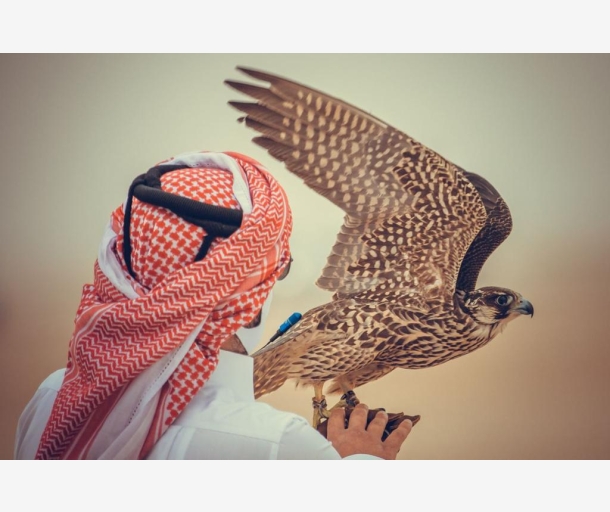 alarab