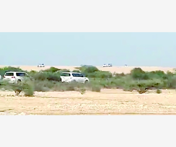 alarab