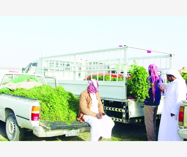 alarab