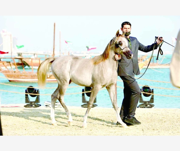alarab