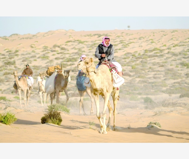 alarab