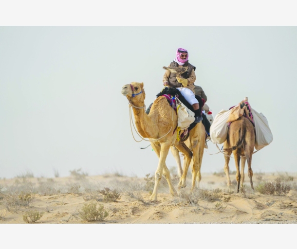 alarab