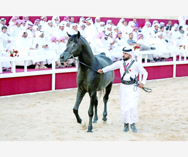 alarab