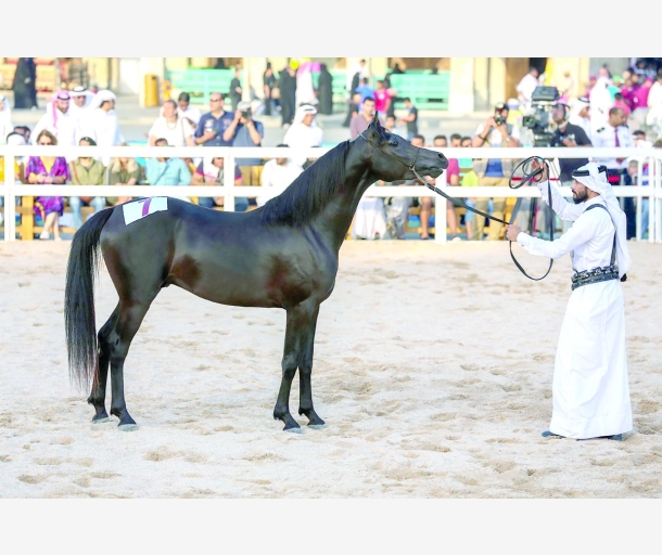 alarab