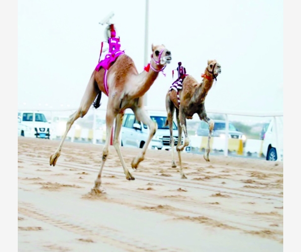 alarab