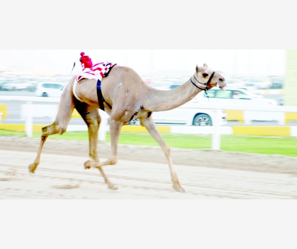 alarab
