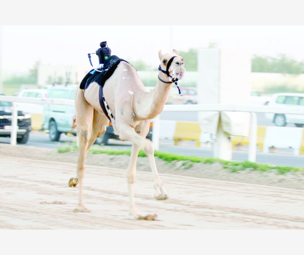 alarab
