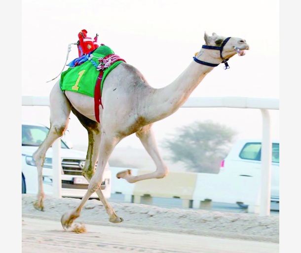 alarab