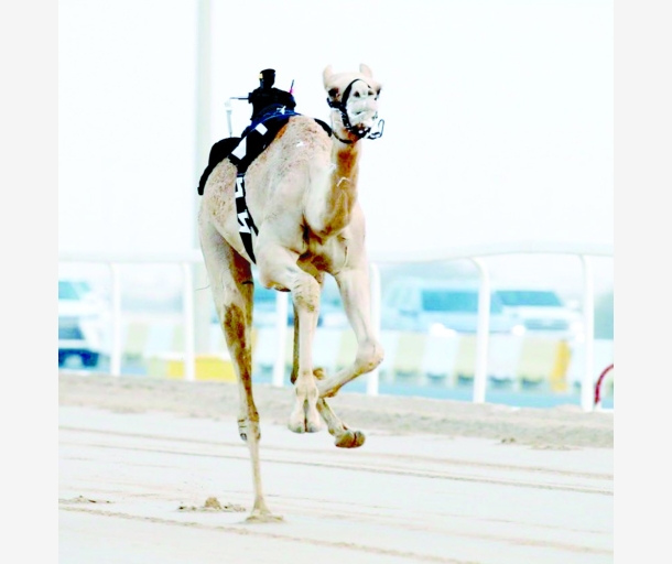 alarab