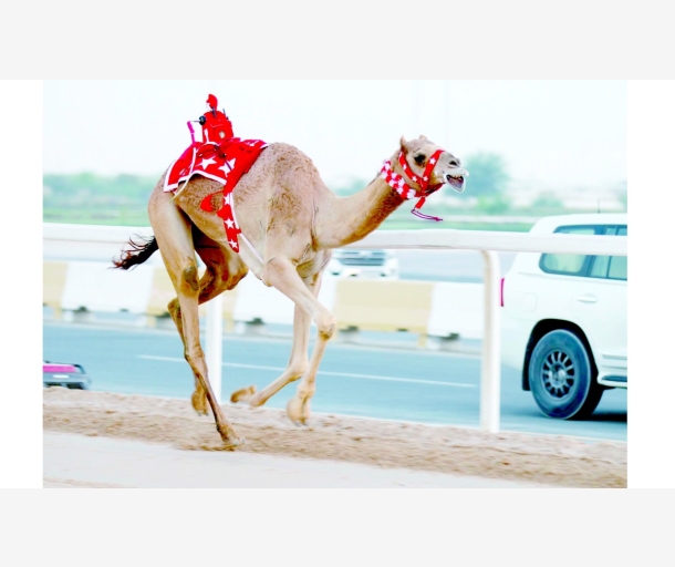 alarab