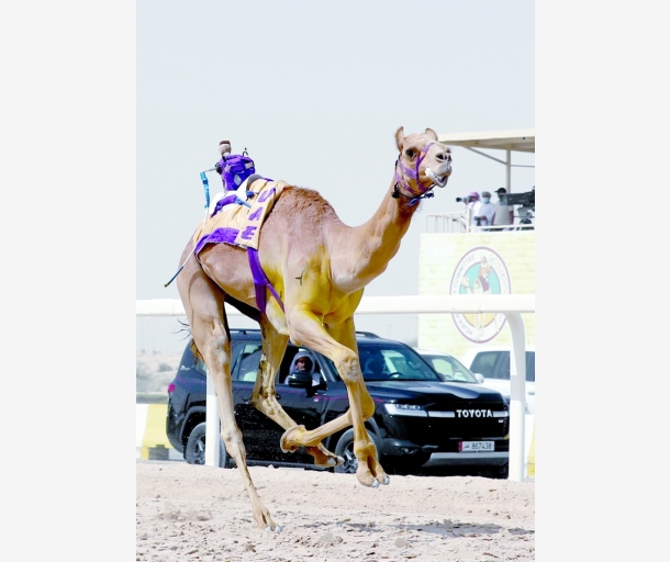 alarab