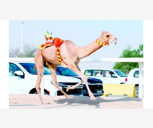 alarab