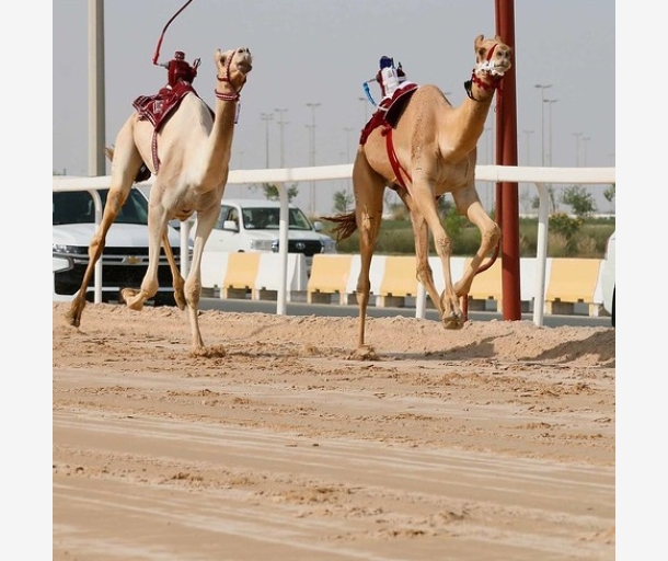alarab