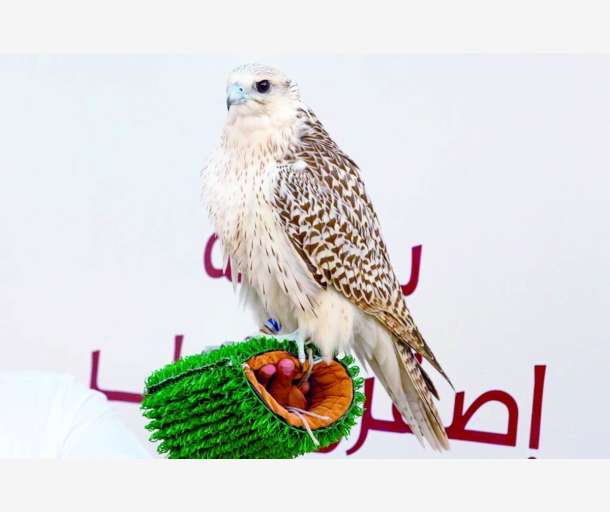 alarab