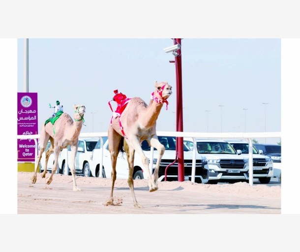 alarab