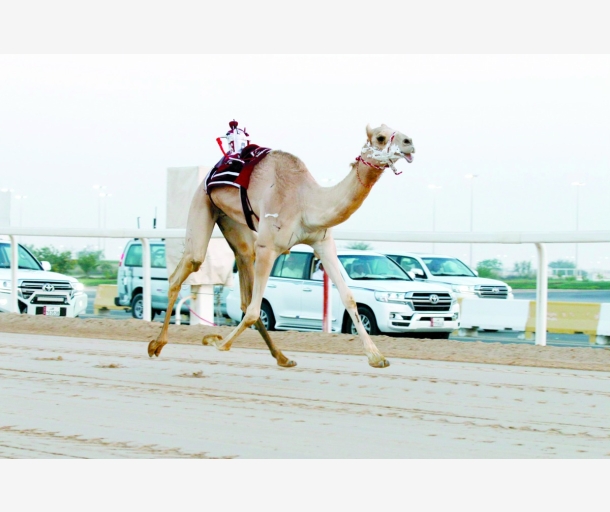 alarab