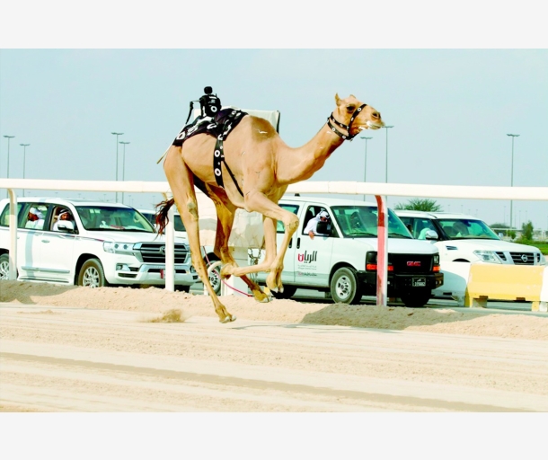 alarab