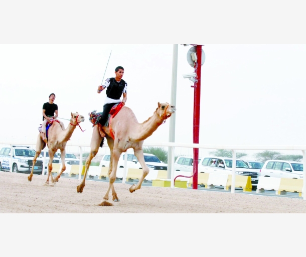alarab