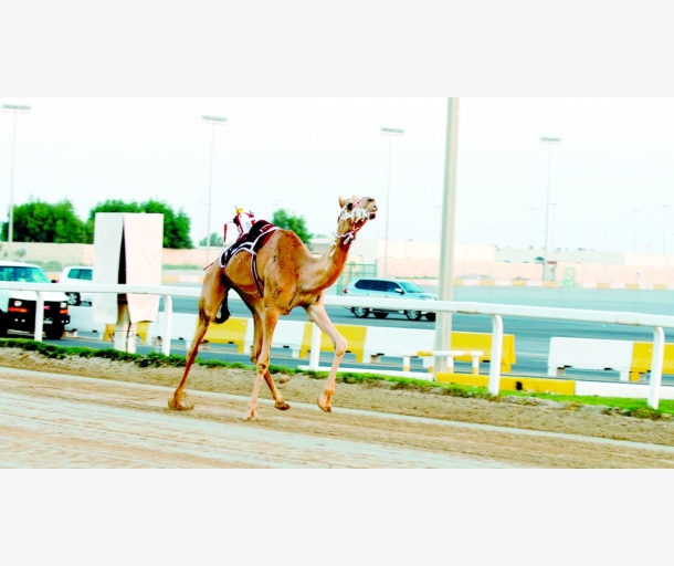 alarab