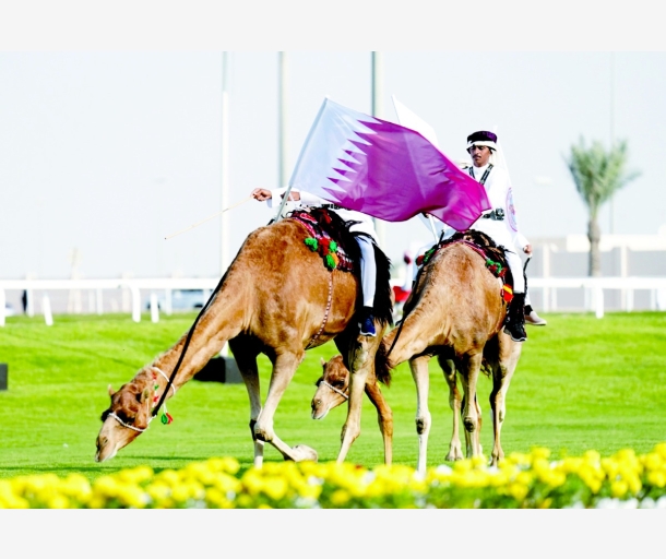 alarab