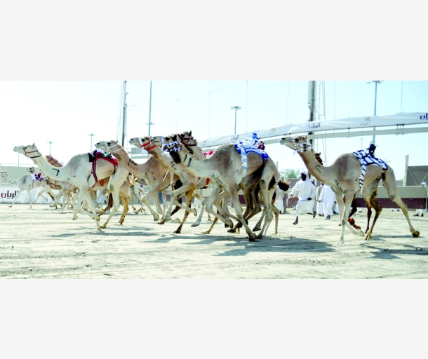 alarab