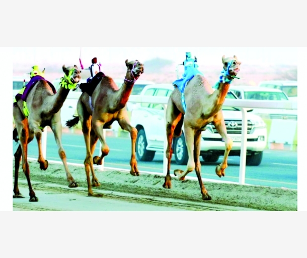 alarab