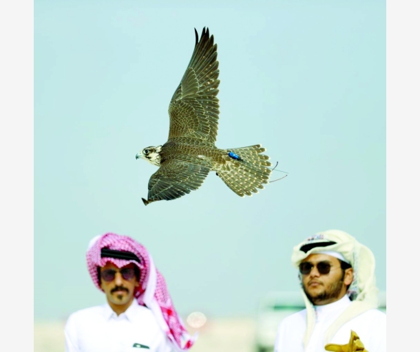 alarab