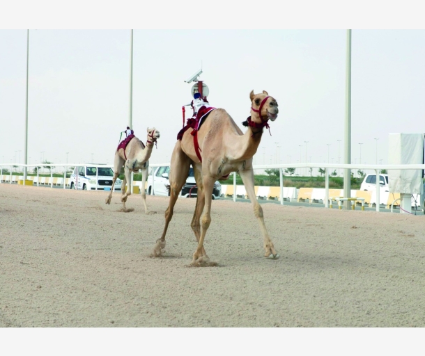 alarab