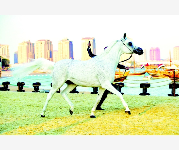 alarab
