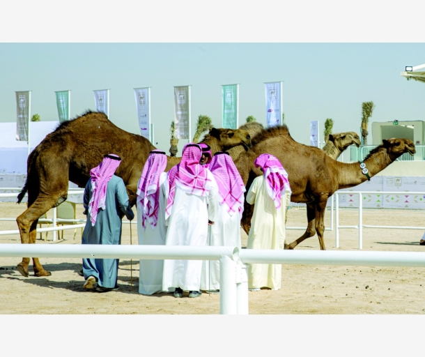alarab