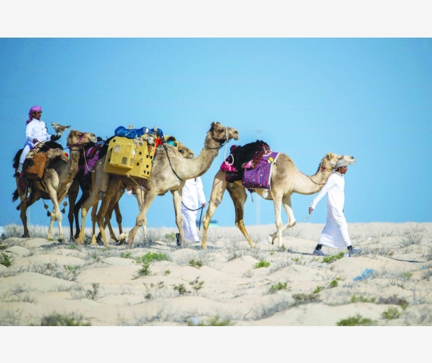 alarab