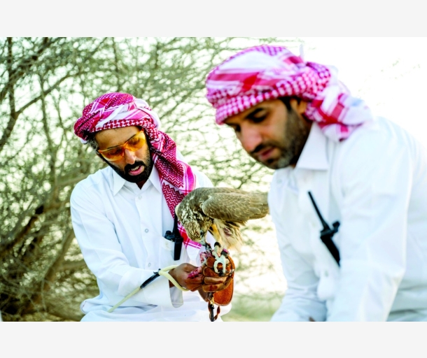 alarab