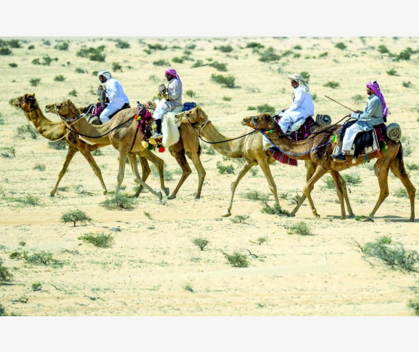 alarab