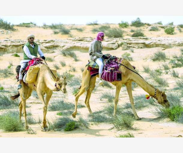 alarab