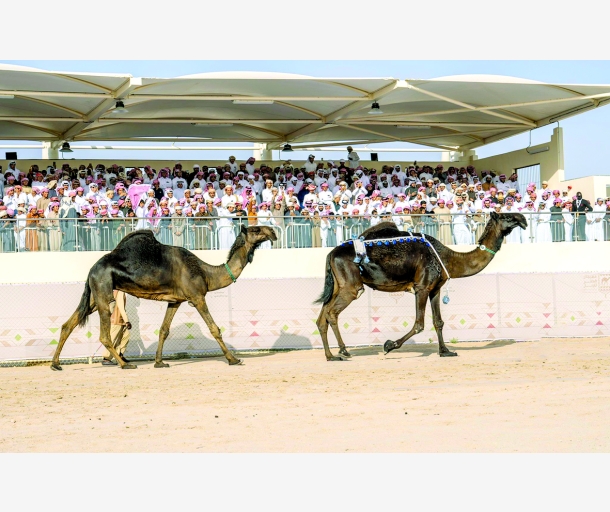 alarab
