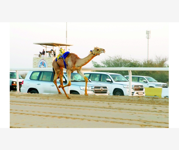 alarab