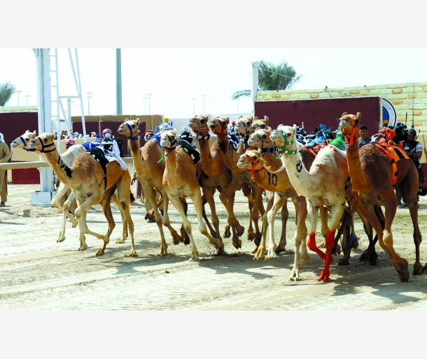 alarab
