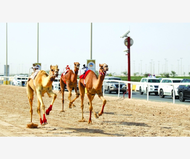 alarab