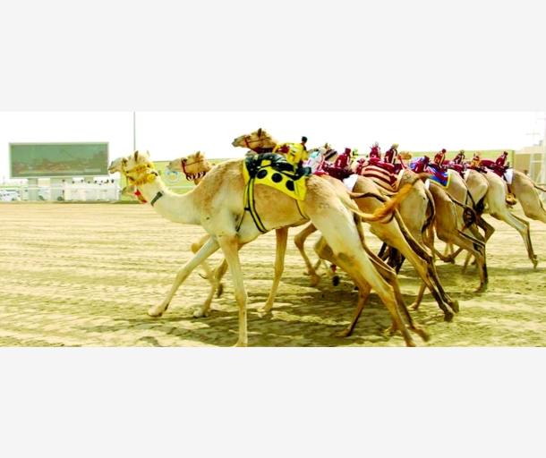 alarab