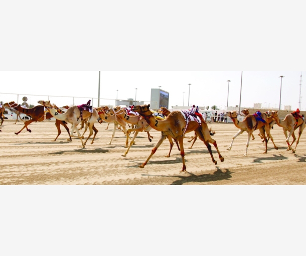 alarab
