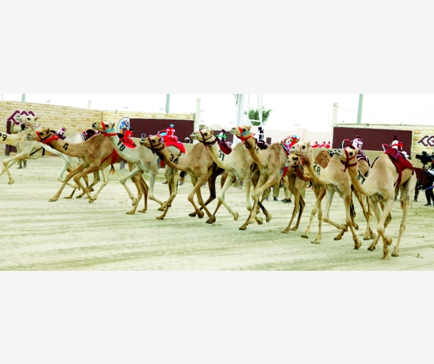alarab