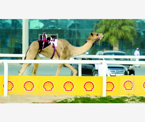 alarab