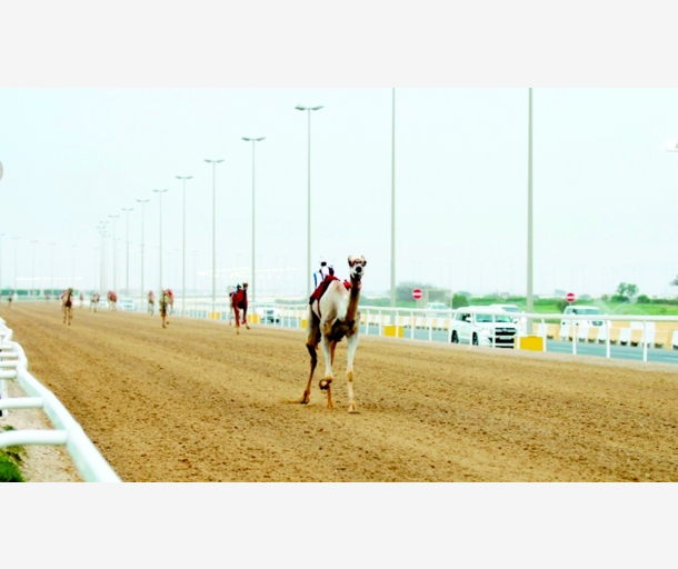 alarab