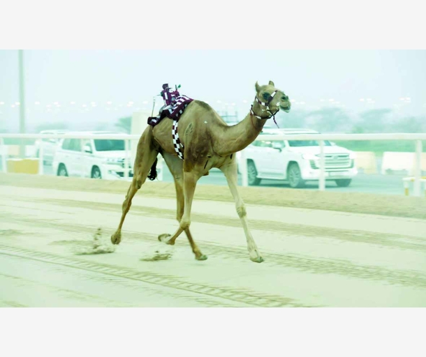 alarab